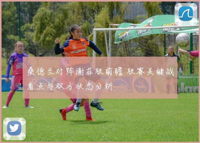 桑德兰对阵谢菲联前瞻 联赛关键战看点与双方状态分析