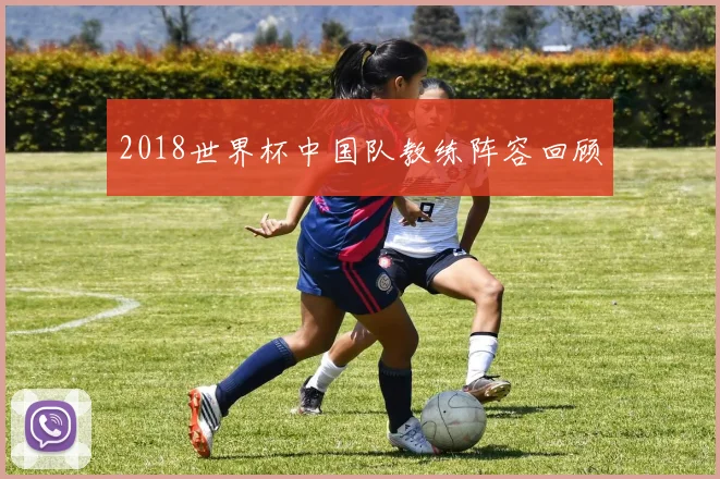 2018世界杯中国队教练阵容回顾