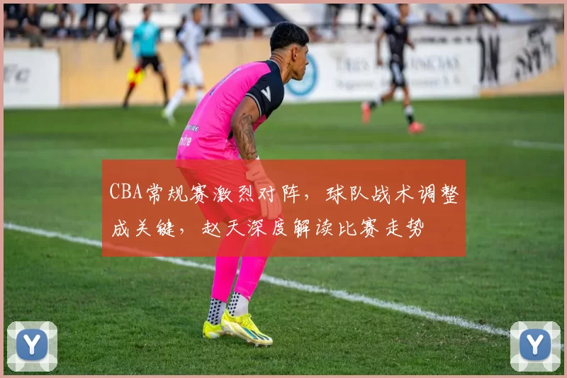 CBA常规赛激烈对阵，球队战术调整成关键，赵天深度解读比赛走势