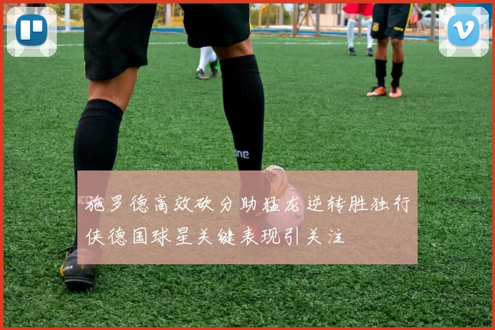 施罗德高效砍分助猛龙逆转胜独行侠德国球星关键表现引关注